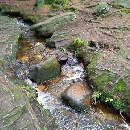 Daire Studio Terjano *