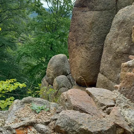 Daire Studio Terjano *